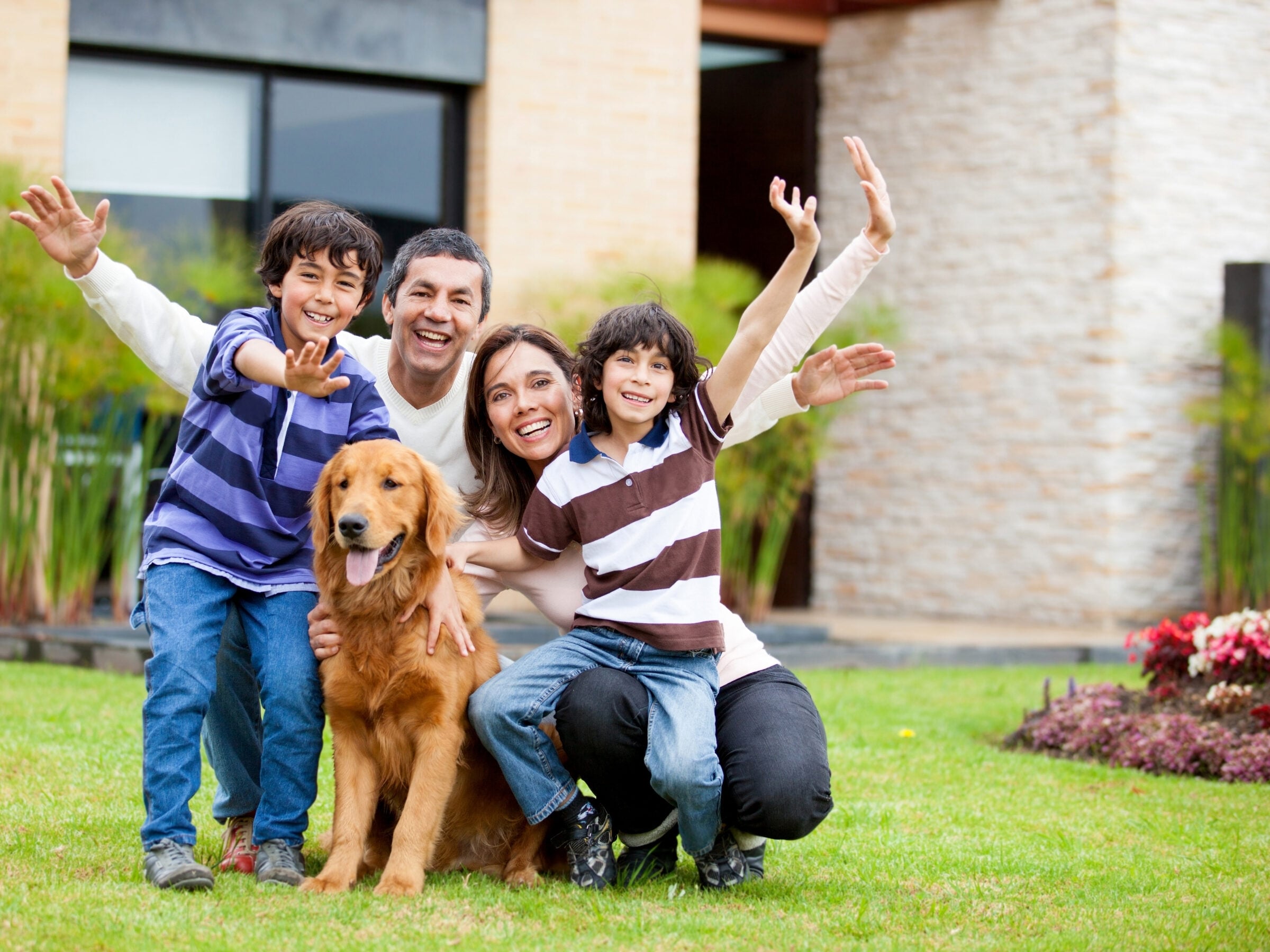 Professional pest and wildlife control services for homes and businesses